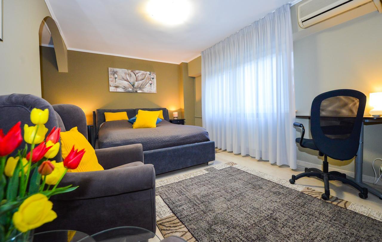 Romana Lahovary Studio Bukares Bagian luar foto